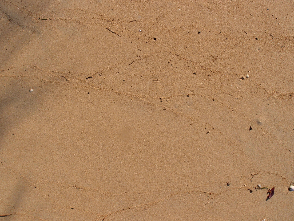 2015-09-27 Boot & Sand (Komposition) (Foto)